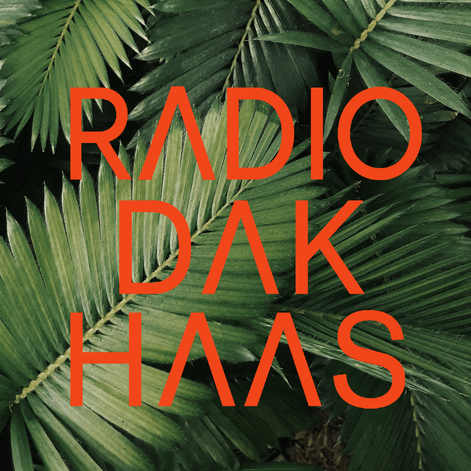 Radio Dakhaas Survival: Rapper PAX in isolatie & de Utrechtse kruidenvrouw